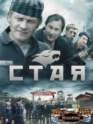 Стая 2009
