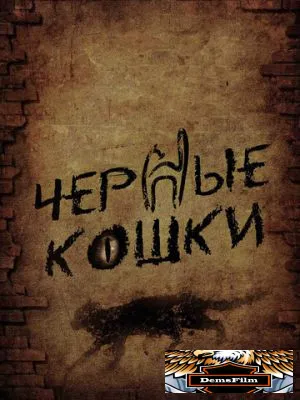 Черные кошки 2013