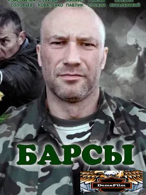 Барсы 2015