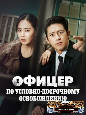 Офицер по условно-досрочному освобождению 2024