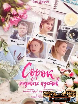 Сорок розовых кустов 2018