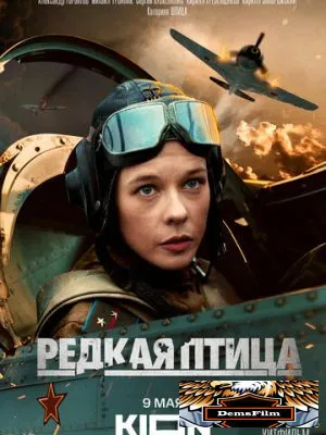 Редкая птица 2024