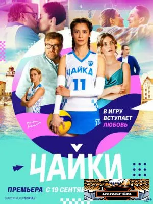 Чайки 2022