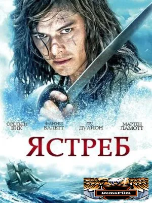 Ястреб 2011