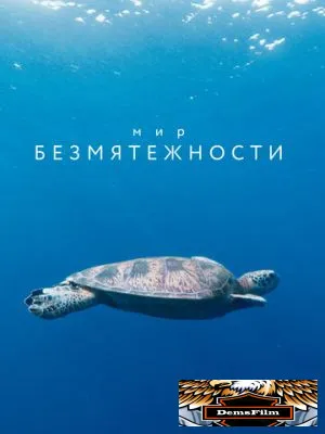 Мир безмятежности 2020