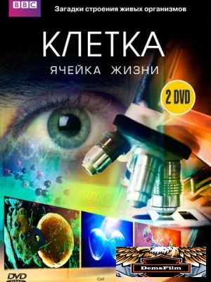 BBC: Клетка 2009