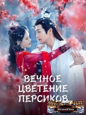 Вечное цветение персиков 2025