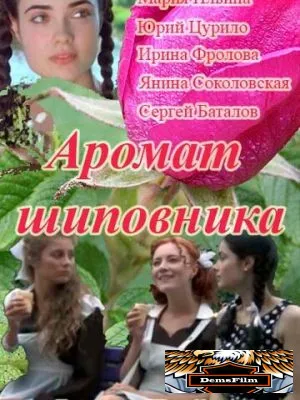 Аромат шиповника 2014
