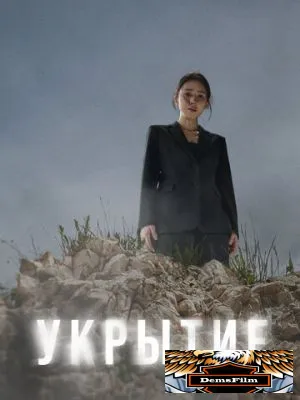 Укрытие 2024