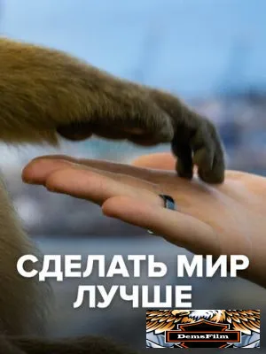 Сделать мир лучше 2022