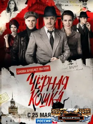 Черная кошка 2016