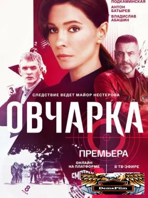Овчарка 2024