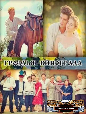 Гроздья винограда 2016