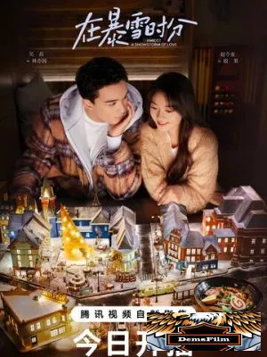 Во время снежной бури 2024