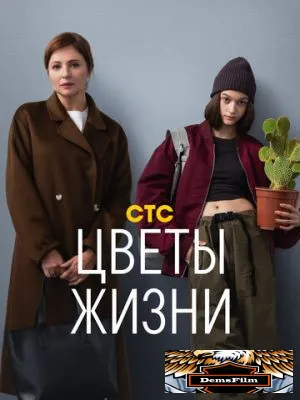 Цветы жизни 2024