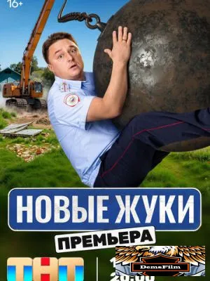 Жуки 2019