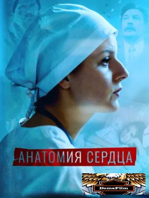 Анатомия сердца 2020