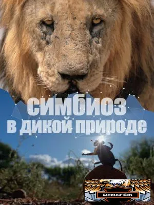 Симбиоз в дикой природе 2023