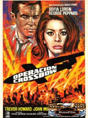 Операция «Арбалет» 1965