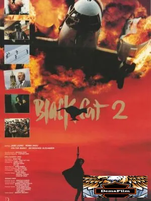 Чёрная кошка 2 1992