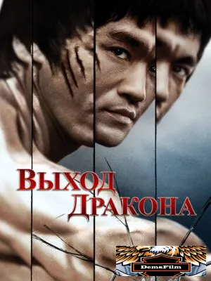 Выход Дракона 1973
