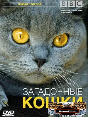 BBC: Загадочные кошки 2002