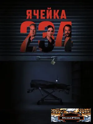Ячейка 234 2023