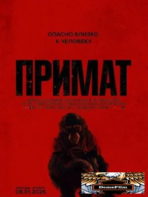 Примат 2025