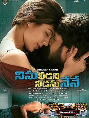 Ninu Veedani Needanu Nene 2019
