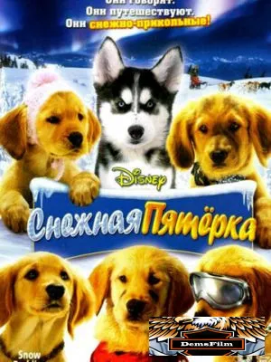 Снежная пятерка 2008
