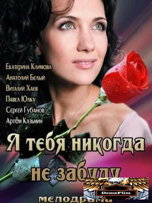 Я тебя никогда не забуду 2013