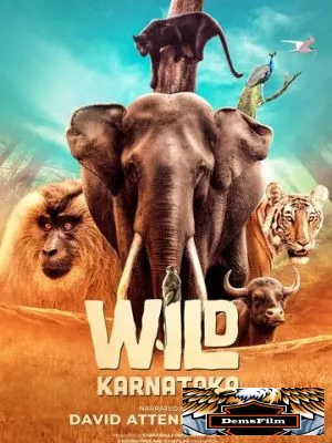 Дикая Карнатака 2020