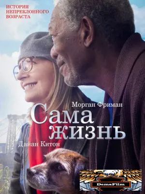 Сама жизнь 2014