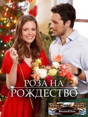 Роза на Рождество 2017