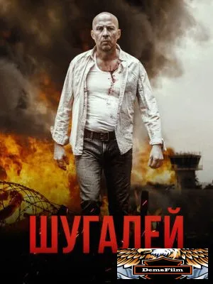 Шугалей 2020
