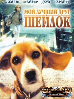 Мой лучший друг Шейлок 1996