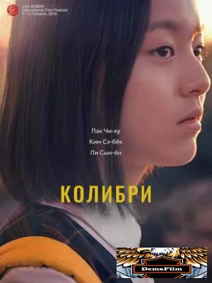 Колибри 2018