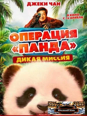 Операция «Панда». Дикая миссия 2026