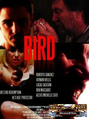 Bird 2020