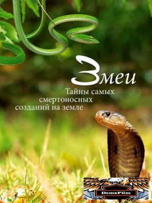 Змеи. Тайны самых смертоносных созданий на земле 2014