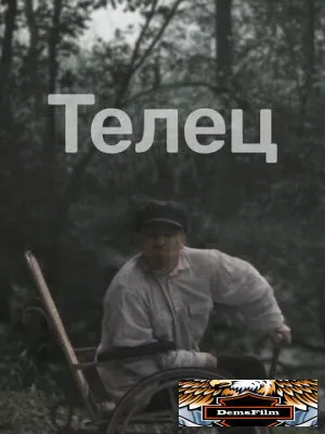 Телец 2000