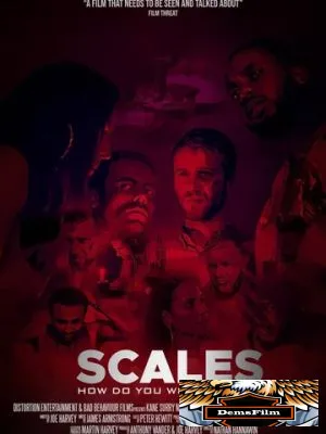 Scales 2020
