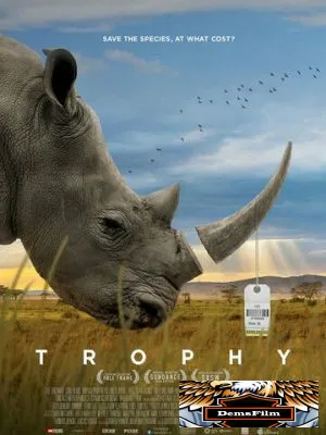 Трофей 2017
