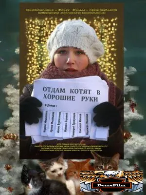 Отдам котят в хорошие руки 2012