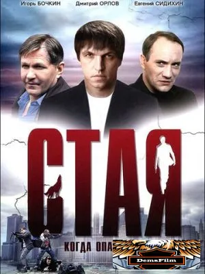 Стая 2005