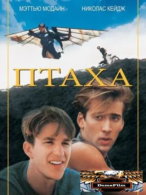 Птаха 1984