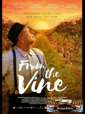 From the Vine 2019