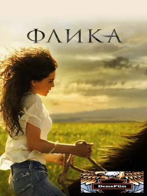 Флика 2006