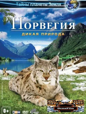 Норвегия 3D: Дикая природа 2013