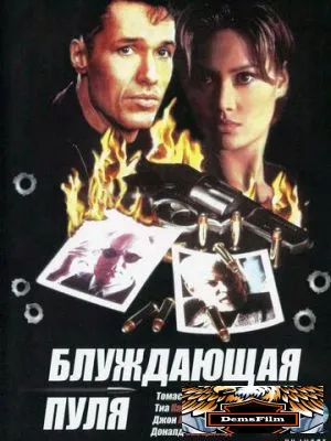 Блуждающая пуля 1996